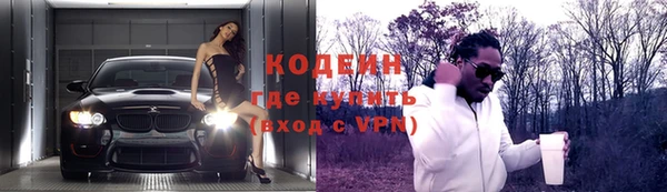 шишки Приозерск