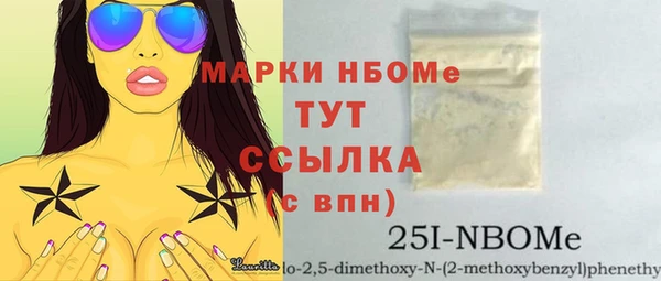 шишки Приозерск
