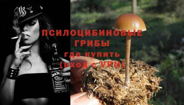героин Абаза