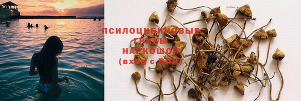 шишки Приозерск